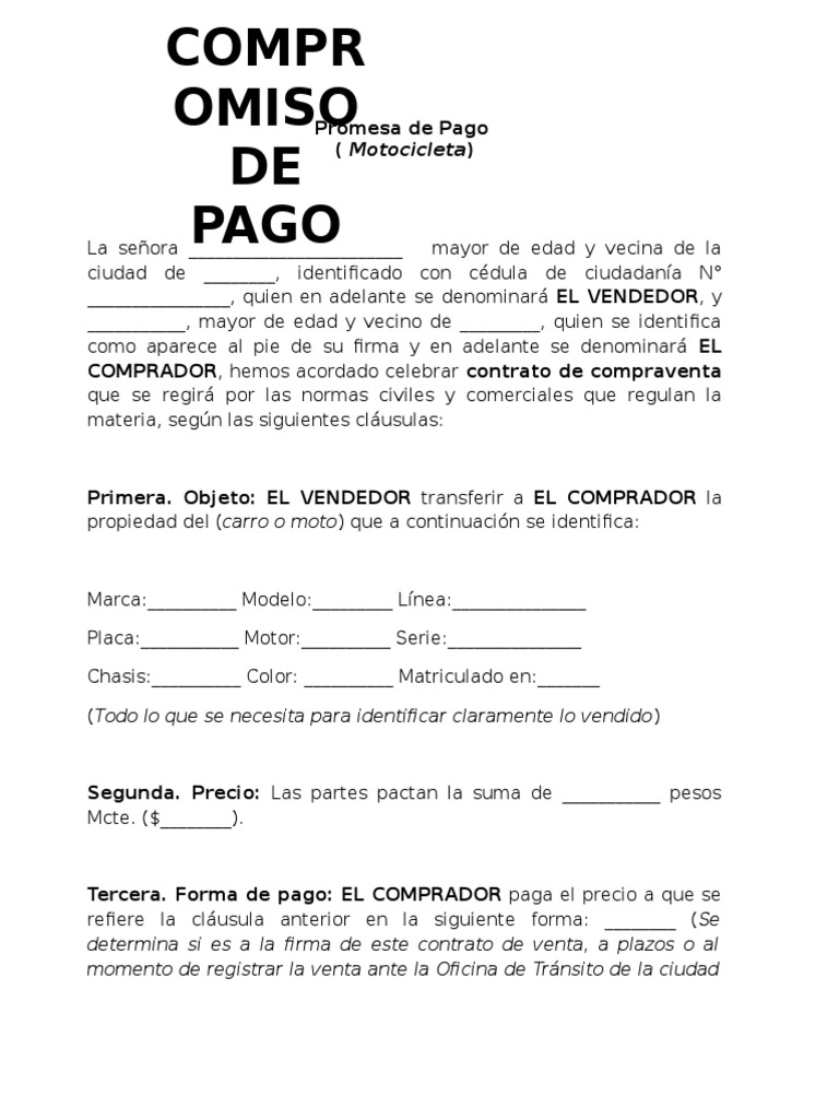 Promesa de pago formato
