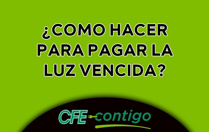 Donde puedo pagar la luz