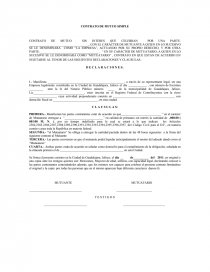 Que es el contrato de mutuo