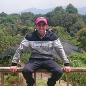 Ingenieria ambiental universidad distrital