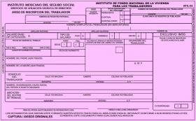 Formato de inscripcion al imss