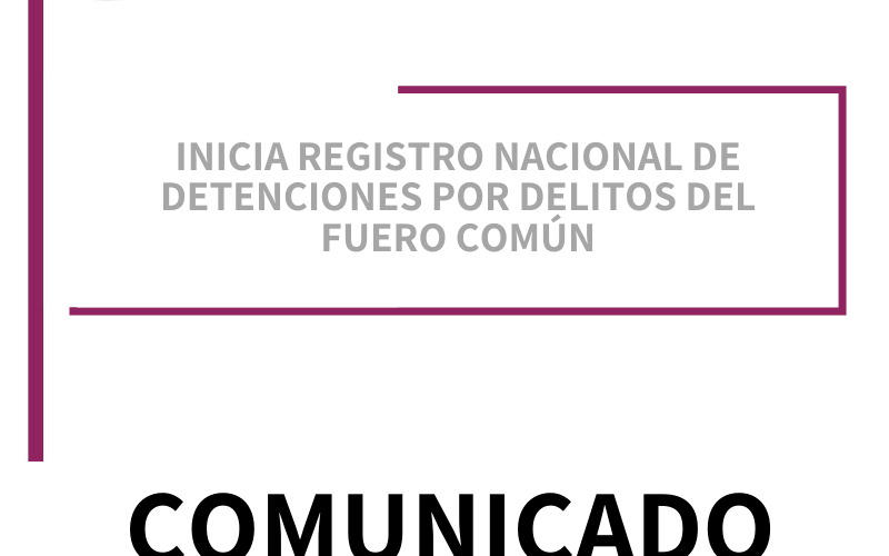 Registro nacional de detenciones