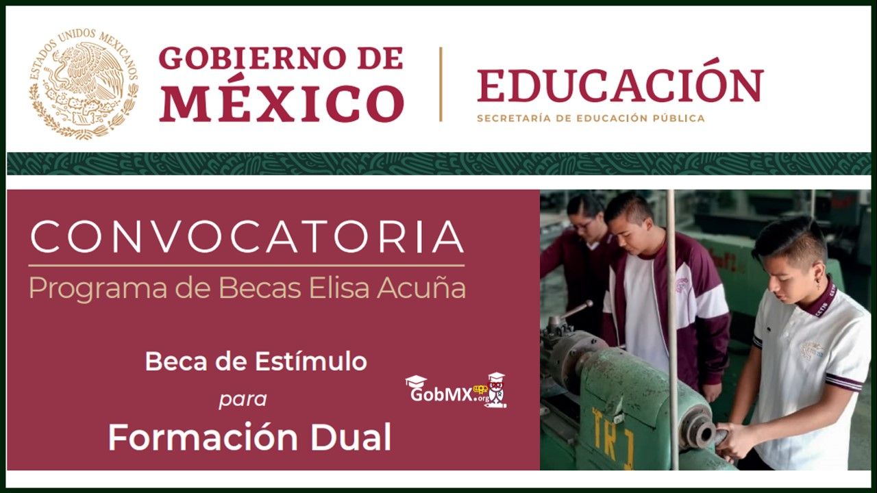 Beca elisa acuña registro