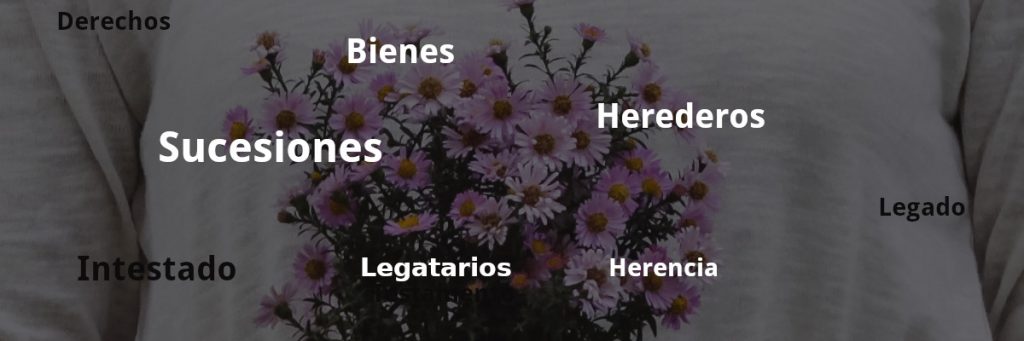 Escrito para solicitar junta de herederos