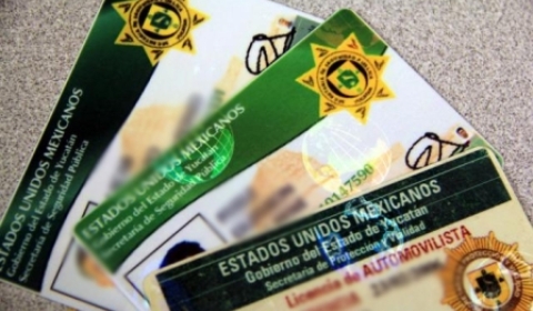 Renovacion de licencia de conducir merida