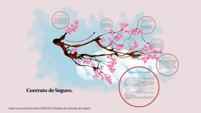 Tipos de contrato de seguro