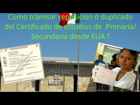 Perdi mi certificado de primaria