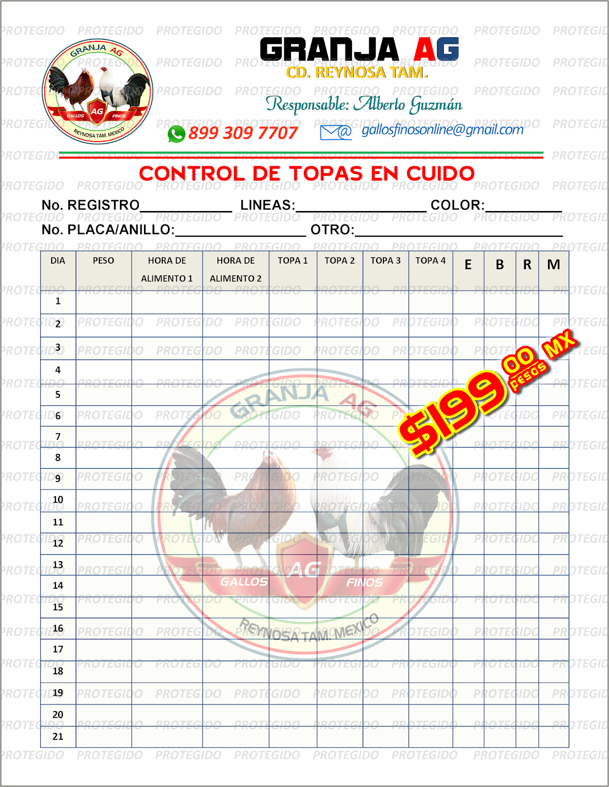 Formato para registrar una marca