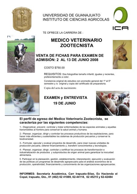 Certificado medico veterinario