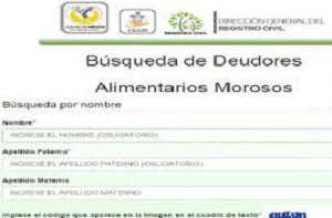 Registro de deudores alimentarios morosos estado de mexico