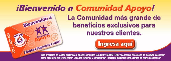 Solicitud de apoyo económico