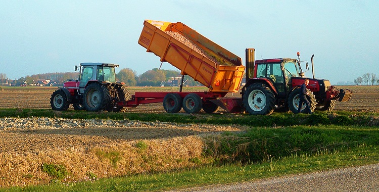 Contrato de aparceria rural