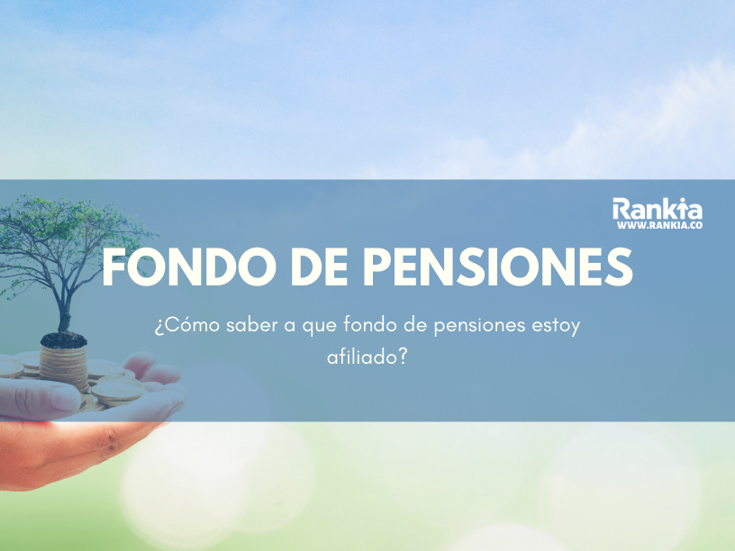 Como averiguar donde tengo las cesantias