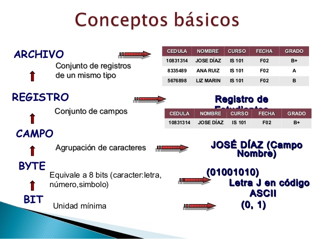 Dato campo y registro