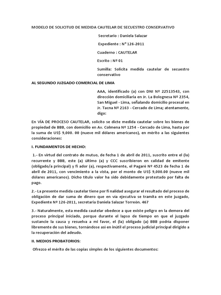 Machote de solicitud de medidas cautelares