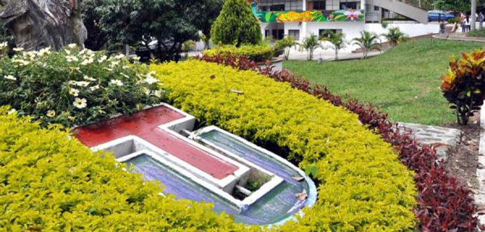 Enfermeria universidad del tolima