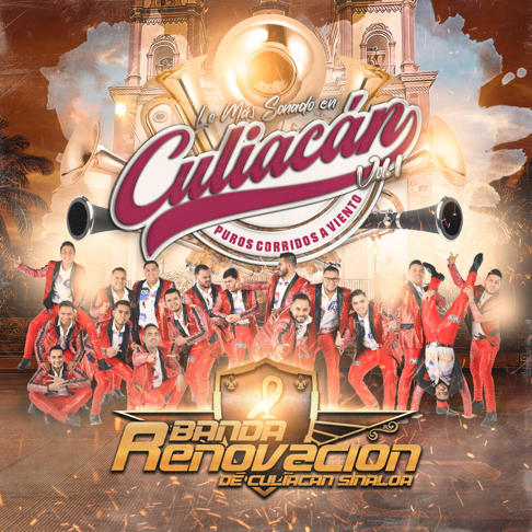 Banda renovacion puras de viento vol 2
