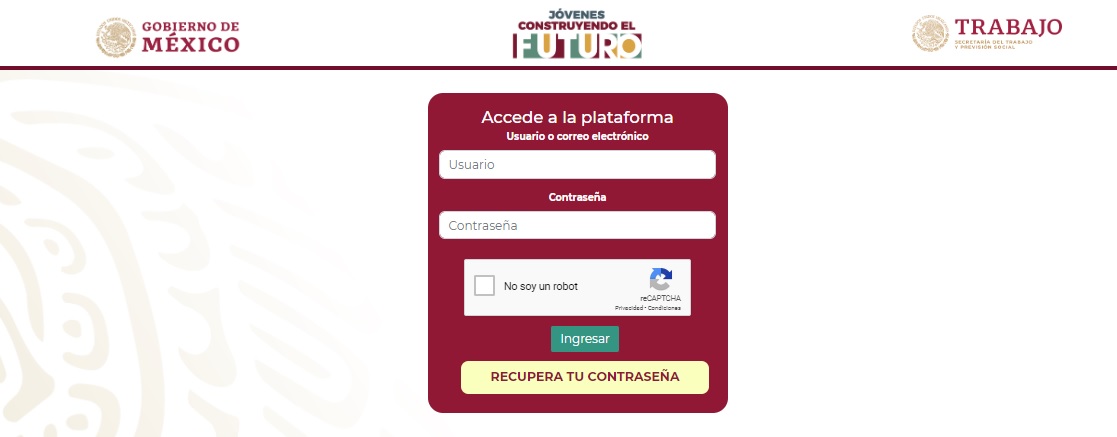 Como registrar mi negocio en jovenes construyendo el futuro
