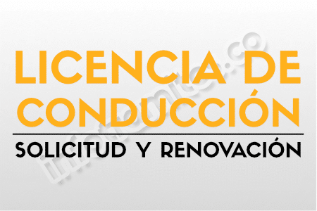 Consultar licencia de moto