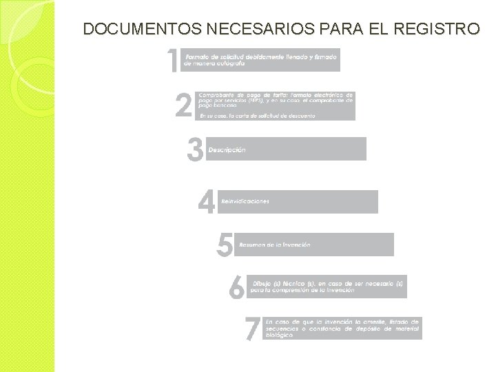 Formato de registro de patente