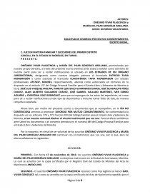 Formato de solicitud de divorcio administrativo