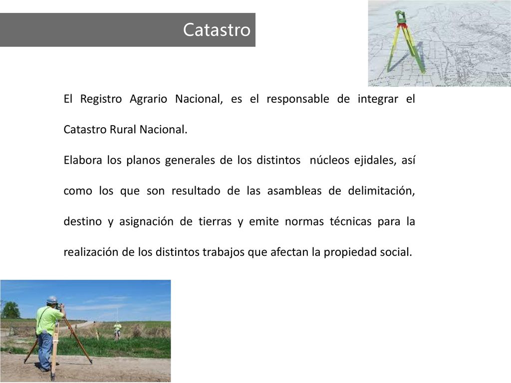 Registro agrario nacional directorio