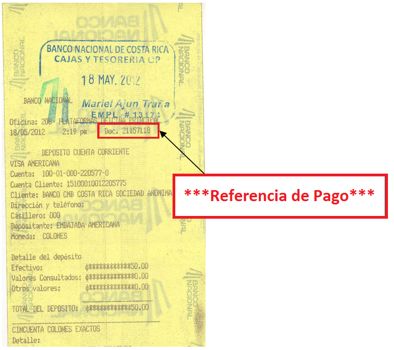 Formato para pago de visa