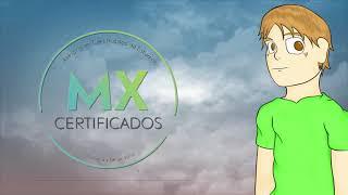 Certificado de primaria estado de mexico
