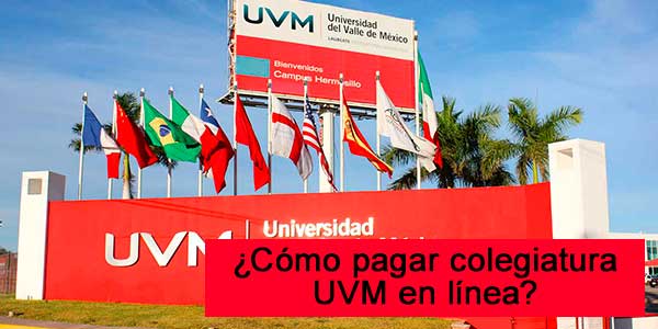 Uvm pago en linea