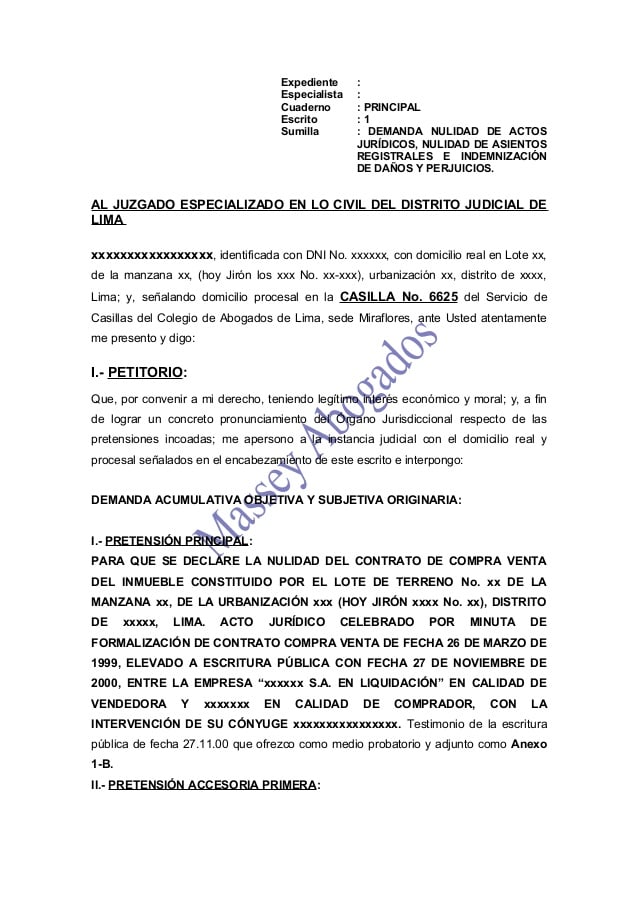 Modelo de demanda por nulidad de contrato