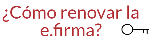 Renovar fiel persona fisica