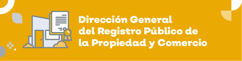 Formato de registro publico de la propiedad