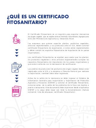 Certificado fitosanitario de importacion