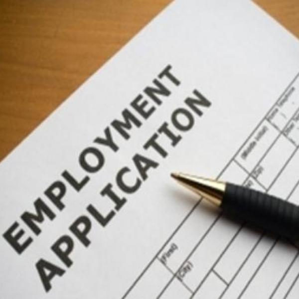 Ejemplos de solicitud de empleo llena