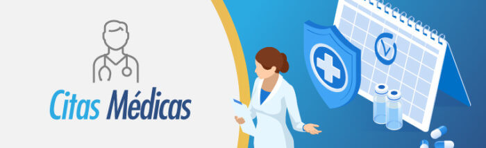 Numero de citas salud total